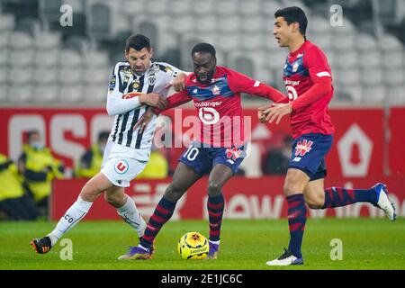 LILLE, FRANCE - JANUARY 6: Thomas Mangani of Angers SCO, Jonathan Ikone of Lille OSC during the Ligue 1 match between Lille OSC and Angers SCO at Stad