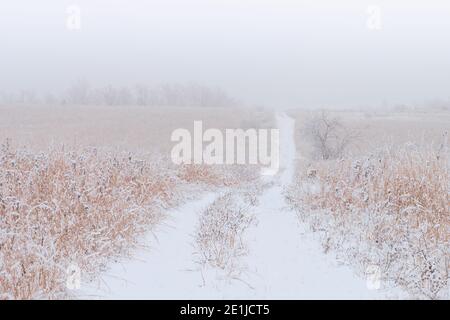 Snowy path at the Orland Grassland North on the Illinois prairie on a cold foggy winter morning in Orland Park, Illinois Stock Photo