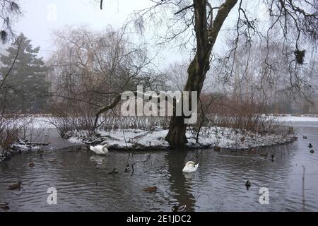 Glasgow, UK, 7 January 2021. Light snow and misty conditions, in Queen's Park in the south of the city. Photo credit: Jeremy Sutton-Hibbert/Alamy Live News Stock Photo