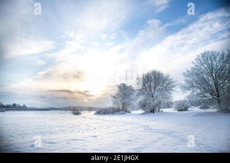 Winter wonderland in the Waldviertel, Austria Stock Photo