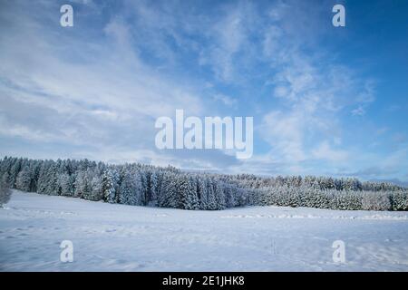 Winter wonderland in the Waldviertel, Austria Stock Photo