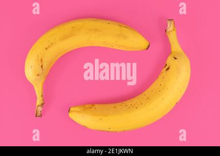 Two ripe banana fruits with peel on pink background Stock Photo