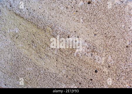 Spongy surface structure of the stone rock shell Stock Photo