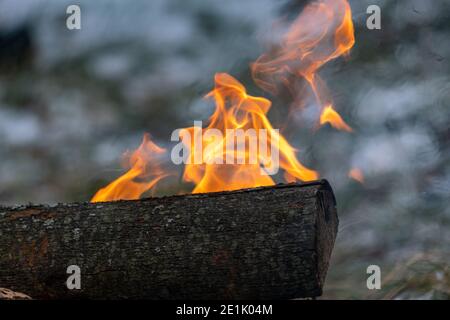 Orange flames dance as they rise above a burning log in an outdoor fire. Stock Photo