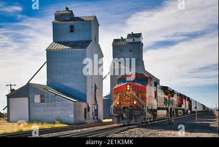 A grain elevator is a tower containing a conveyor, which scoops up grain from a lower level and deposits it in a silo or other storage facility. This Stock Photo