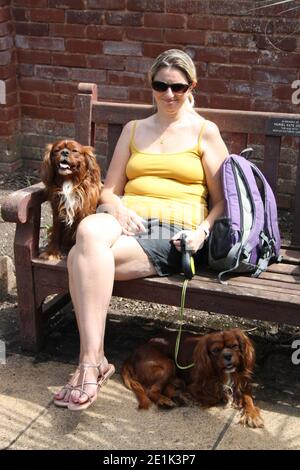 Woman with walking dogs Stock Photo