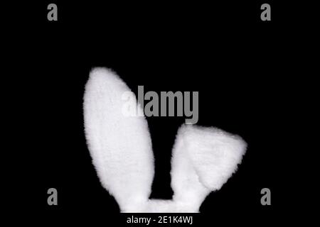 White fluffy bunny ears isolated on black background. Creative easter concept. Minimal concept Stock Photo