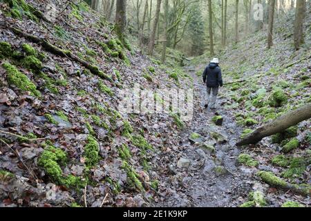 Geologist in Nettler Dale at the site of the historic Ashford Black Marble Mine Stock Photo