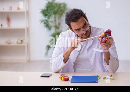 Young cardiologist explaining human heart structure Stock Photo