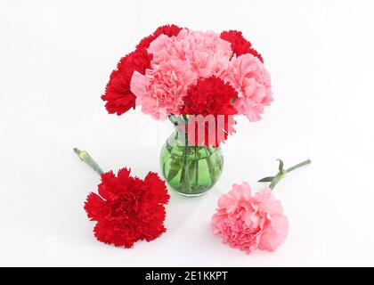 Carnations, (Dianthus Caryophyllus), some in a green glass vase, displayed against a white background. Stock Photo