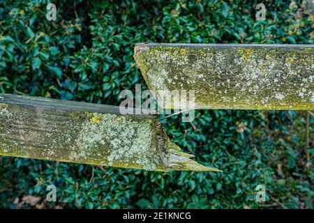broken wooden fence rail Stock Photo