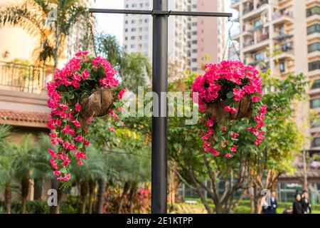 Two fake flowers baskets hanging a pole in a park in Shenzhen, China Stock Photo