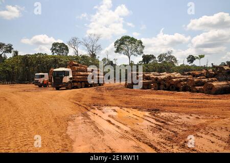 Logging activities in the Brazilian Rainforest causes large scale deforestation and land erosion Stock Photo