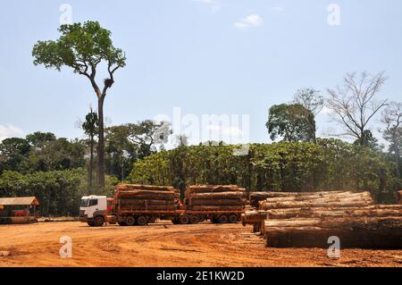 Logging activities in the Brazilian Rainforest causes large scale deforestation and land erosion Stock Photo