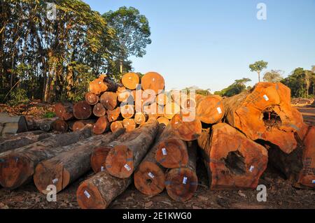 Logging activities in the Brazilian Rainforest causes large scale deforestation and land erosion Stock Photo