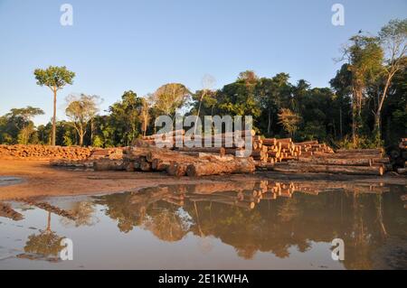 Logging activities in the Brazilian Rainforest causes large scale deforestation and land erosion Stock Photo