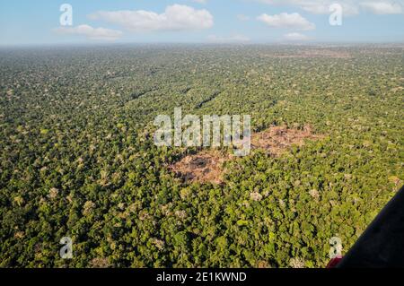 Aerial view of the Brazilian rainforest Stock Photo