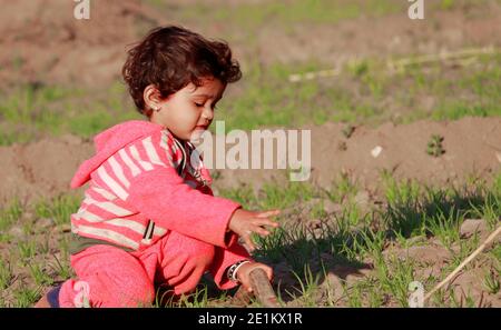 A beautiful Indian child destroying weeds in the field, young child farmer Stock Photo