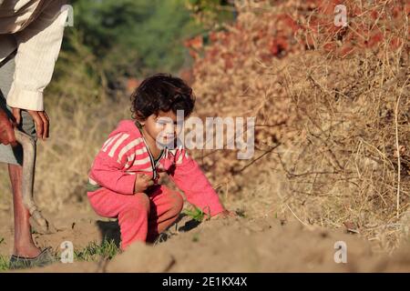 A beautiful Indian child looking at the weed in the field, india, young indian child farmer in field Stock Photo