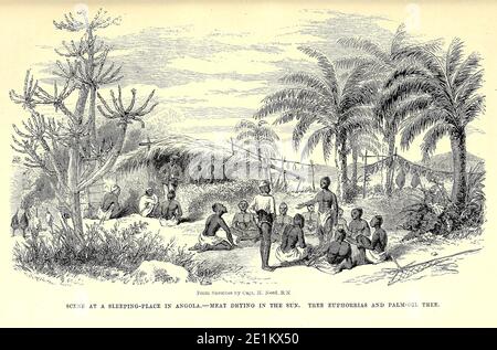 Scene at a Sleeping Place in Angola. Meat drying in the sun. Tree Euphorbias and Palm-Oil tree. From book ' Missionary travels and researches in South Africa : including a sketch of sixteen years' residence in the interior of Africa, and a journey from the Cape of Good Hope to Loanda, on the west coast, thence across the continent, down the river Zambesi, to the eastern ocean ' by David Livingstone Published in London in 1857 Stock Photo
