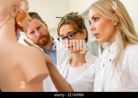 Students of medicine examining anatomical model in classroom Stock Photo