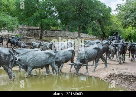 statue of cowboy riding a horse at the Pioneer Plaza in Dallas, Texas ...