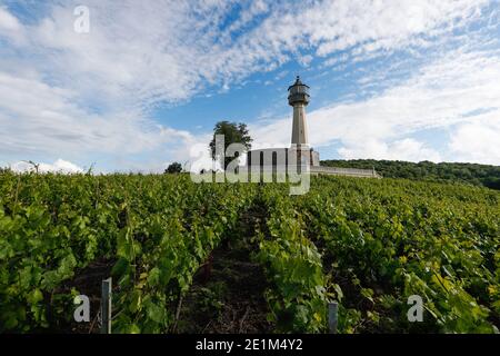 Stockholm. 10th June, 2019. File photo taken on June 10, 2019 shows a vineyard in the Champagne region near Reims, France. Credit: Zheng Huansong/Xinhua/Alamy Live News Stock Photo