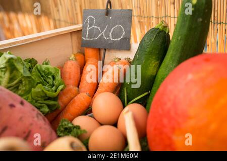 assortment of seasonal organic vegetables Stock Photo