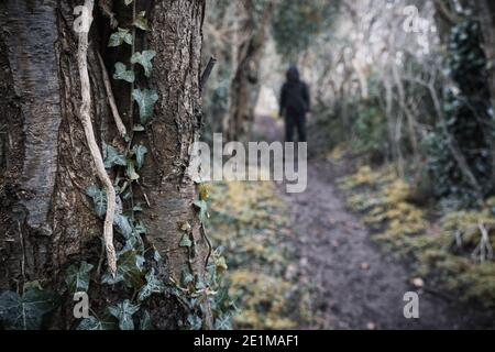 A spooky hooded figure, blurred in the background,. Standing on a forest path on a bleak winters day. Stock Photo