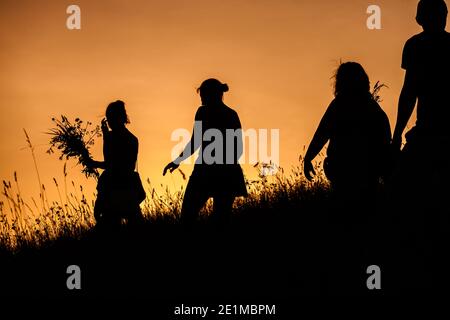 Silhouettes of People picking flowers during midsummer soltice Stock Photo