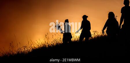 Silhouettes of People picking flowers during midsummer soltice Stock Photo