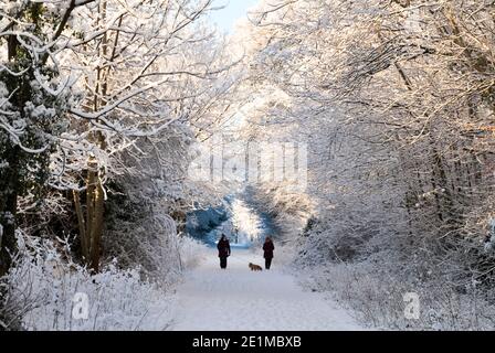 West Lothian, Scotland. Weather, 8th January, 2021. Early morning dog walkers out exercising their pets after a fresh fall of snow, Mid Calder, West Lothian, Scotland, UK. .    Credit: Ian Rutherford/Alamy Live News. Credit: Ian Rutherford/Alamy Live News Stock Photo