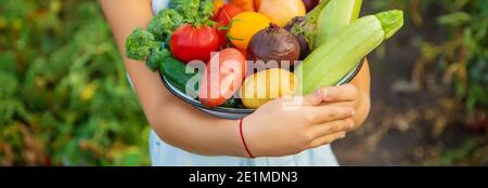 Vegetables in the hands of the child and father in the garden. Selective focus.food Stock Photo