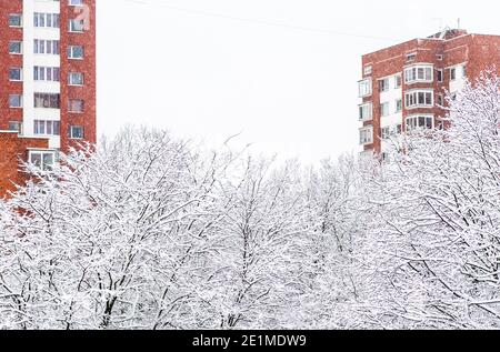 Wonderful white winter landscape with trees covered by snow after snowfall among buildings in the city Stock Photo