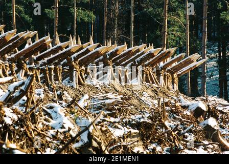 The Gladiator film set 1999 for the opening battle, set in 'Germania', Bourne Woods, Farnham, Surrey, England, United Kingdom Stock Photo