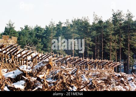 The Gladiator film set 1999 for the opening battle, set in 'Germania', Bourne Woods, Farnham, Surrey, England, United Kingdom Stock Photo