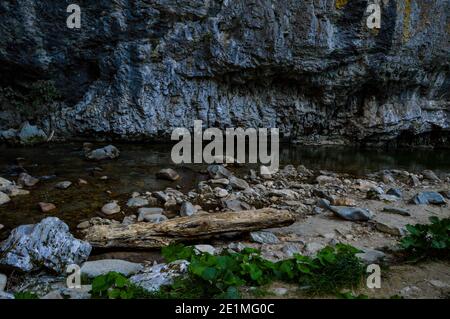 Pristine natural landscape with River flowing freely through the eroded rocks and driftwood in the Sohodol Gorges, in Gorj county Romania Stock Photo