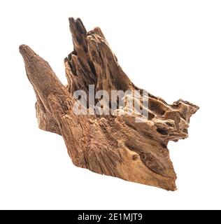 Piece of well worn driftwood on a white background Stock Photo