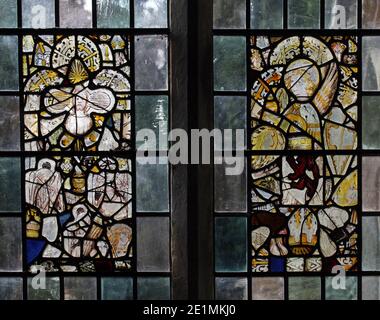 15th century stained glass fragments reassembled within plain quarries, Church of St Andrew, Letheringsett, Norfolk Stock Photo