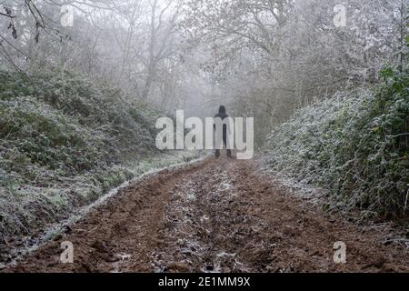 A hooded figure standing on a muddy track through woodland. On a frosty winters day in the English countryside. Stock Photo
