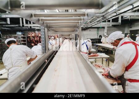 Workers at meet industry handle meat organizing packing shipping ...