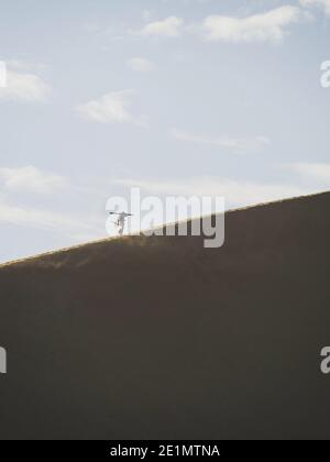 Panorama view of isolated single person climbing scaling dry sand dune with skis coastal desert oasis of Huacachina Ica Province Peru South America Stock Photo