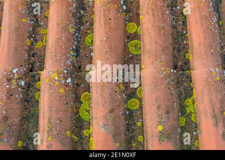 Colorful texture on a terracotta tiled roof covered in moss and mold after years of exposure to the sun and rain Stock Photo