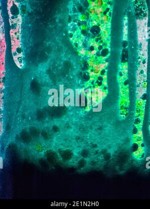 Colourful abstract background go rising bubbles in liquid Stock Photo