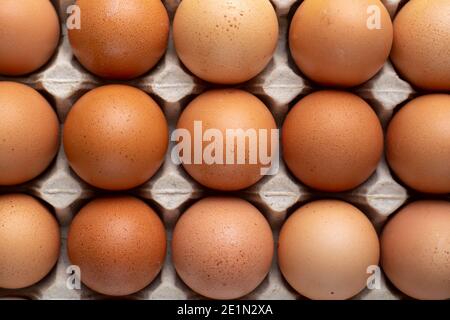 Nice big rural fresh eggs in cardboard egg box holder. Top view. Stock Photo