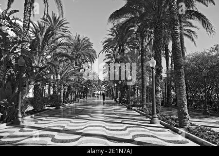 3D effect of wavy tiled paving along the Palm lined Esplanade de Espana in Alicante, Spain Stock Photo