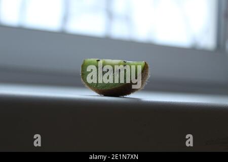 wedge slice of kiwi on a window sill white light background with a copyspace. Stock Photo