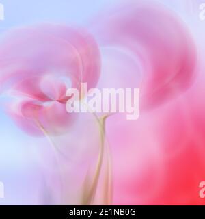 Art abstract floral blur pattern Stock Photo