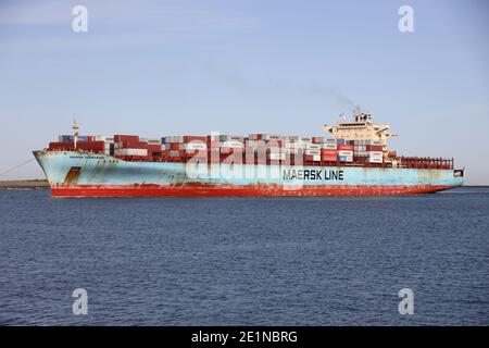 The container ship Maersk Sembawang will reach the port of Rotterdam on September 18, 2020. Stock Photo
