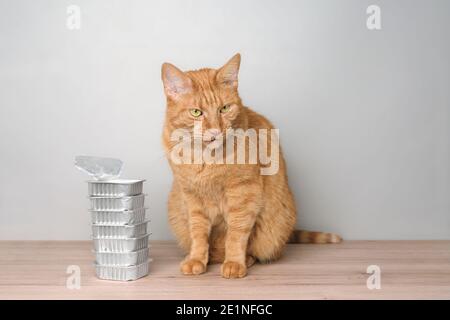 Cute red cat sitting next to food bowls on the table. and waiting for food. Stock Photo